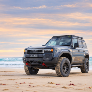 Ironman 4x4 Raid Insert Bar Toyota Prado 250