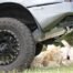 The Long Ranger 80L Auxiliary Fuel Tank Nissan Patrol Y62 Petrol