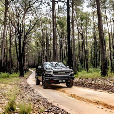 BBR085E-dt-ram-raid-bull-bar-0