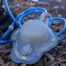3_Gallon_12L_Portable_Camping_Pressure_Solar_Shower_2__99444.1638828085-400x267