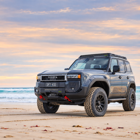 Ironman 4x4 Raid Insert Bar Toyota Prado 250