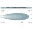 IDL0701S_Ironman_4x4_SPOT-Beam_scope_7_inch_pattern_diagram__52861